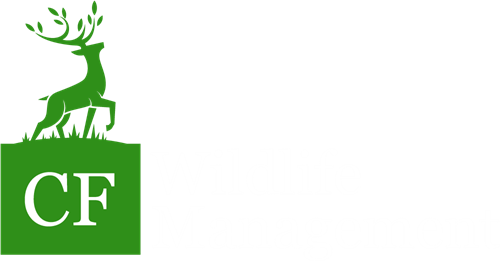 CF Wildlife Management