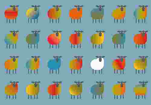 Multicoloured sheep